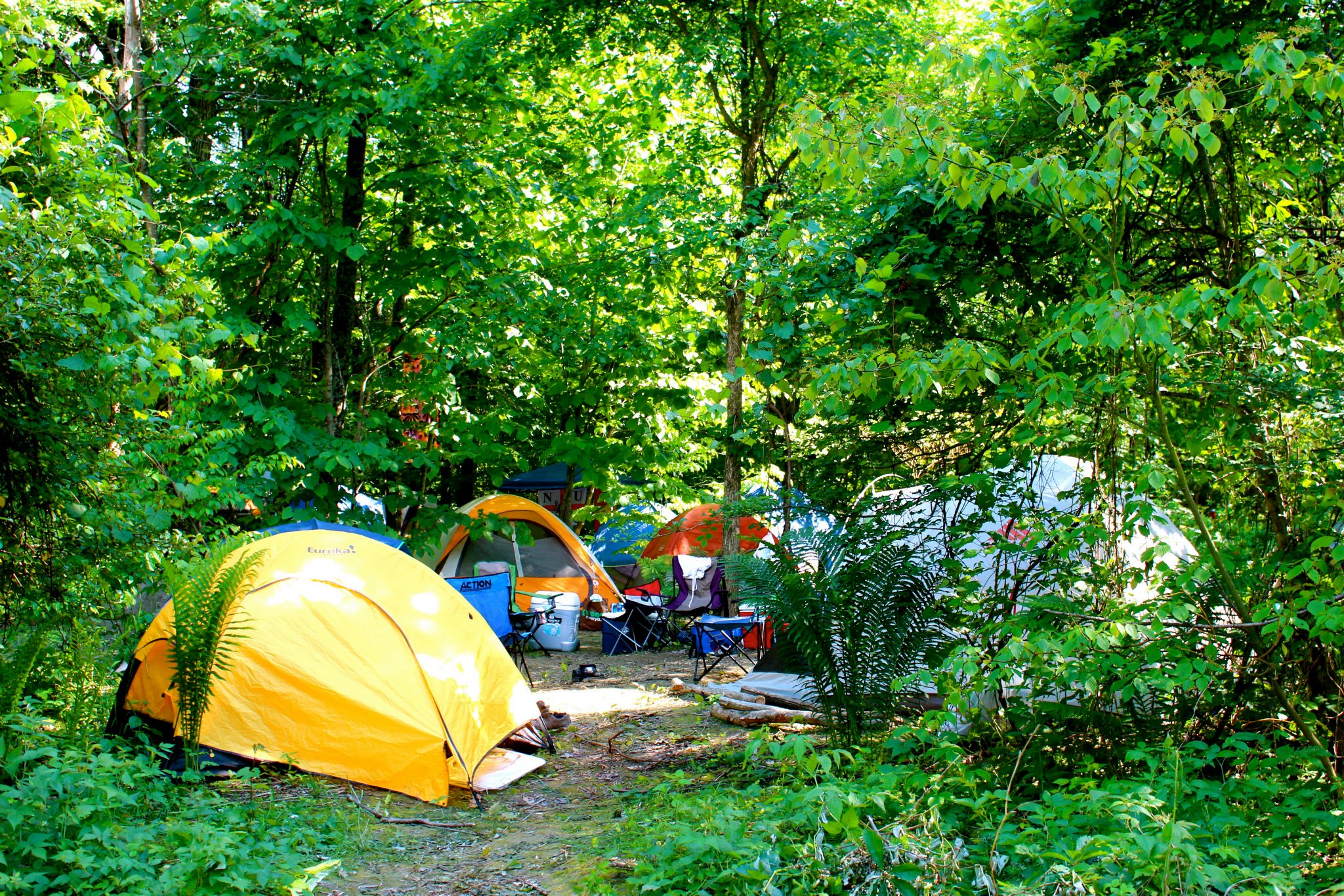 Tent Camping in the woods