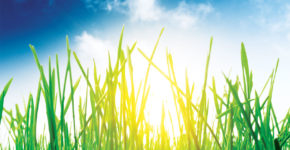 Presale Tickets – On Sale Now!