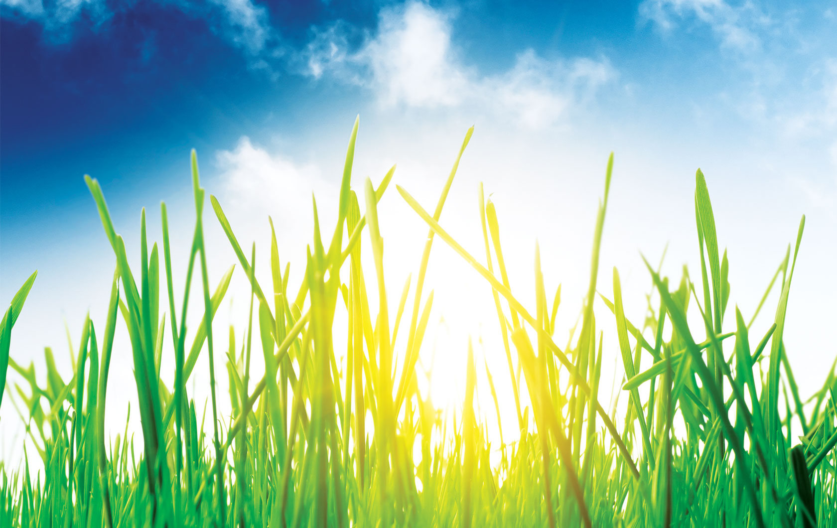 ziontific summer solstice music festival Western Massachusetts